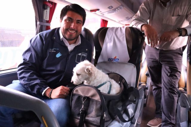 Buses Pet-Friendly en Chile: Una Tendencia en Crecimiento